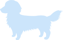 スタンダード（最大）