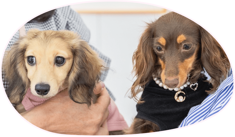 プライバシーポリシー